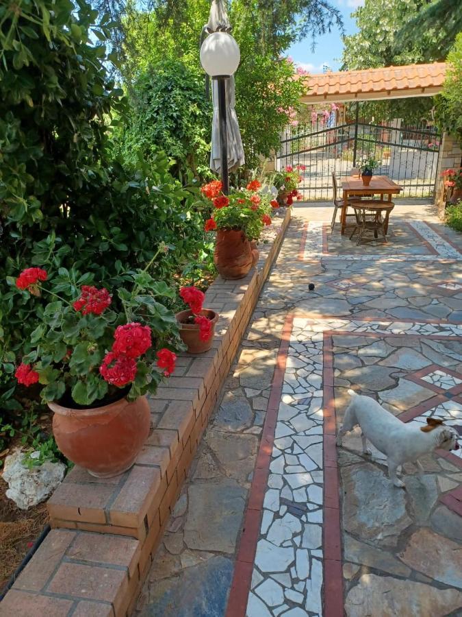 Handmade Peaceful Cozy House Near The Beach Nea Kallikrateia Exterior photo